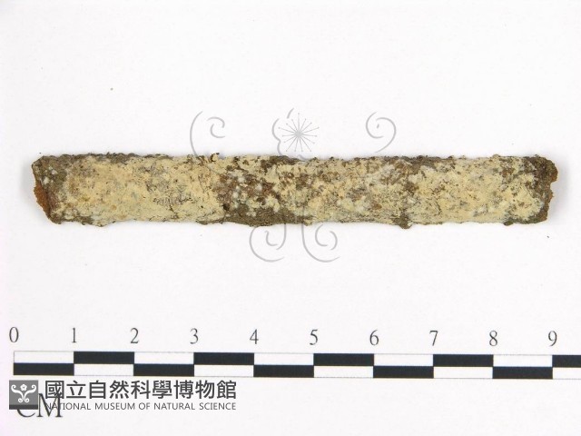 登錄號:F0007792藏品圖，第1張