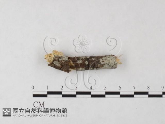 登錄號:F0023792藏品圖，第1張