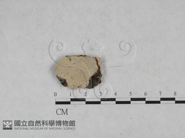 登錄號:F0028592藏品圖，第1張