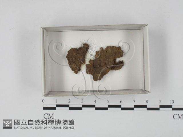 登錄號:F0018592藏品圖，第1張