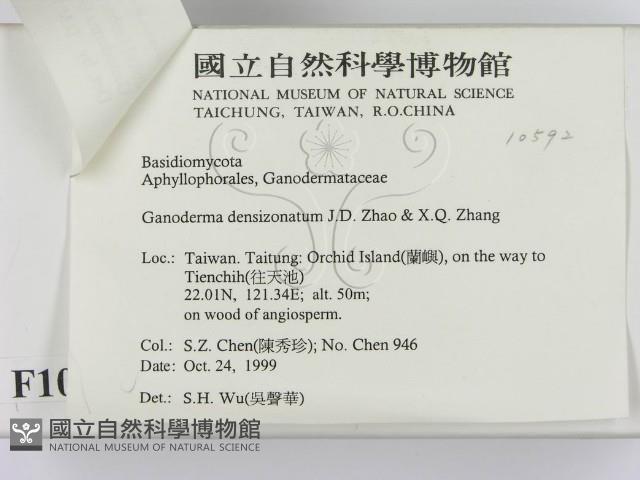 登錄號:F0010592藏品圖，第3張