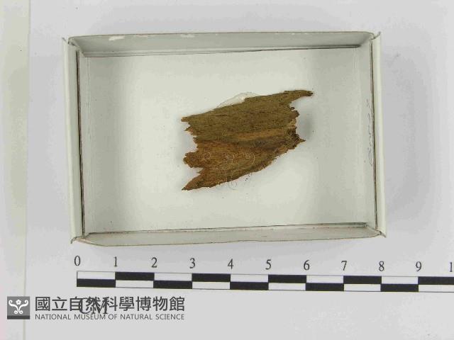 登錄號:F0021592藏品圖，第1張