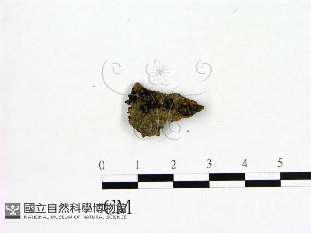 登錄號:F0002592藏品圖，第1張