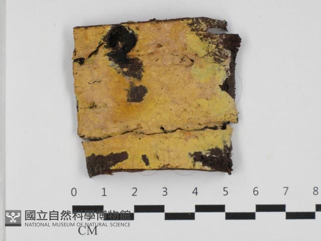 登錄號:F0032592藏品圖，第1張
