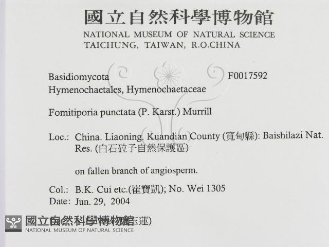 登錄號:F0017592藏品圖，第3張