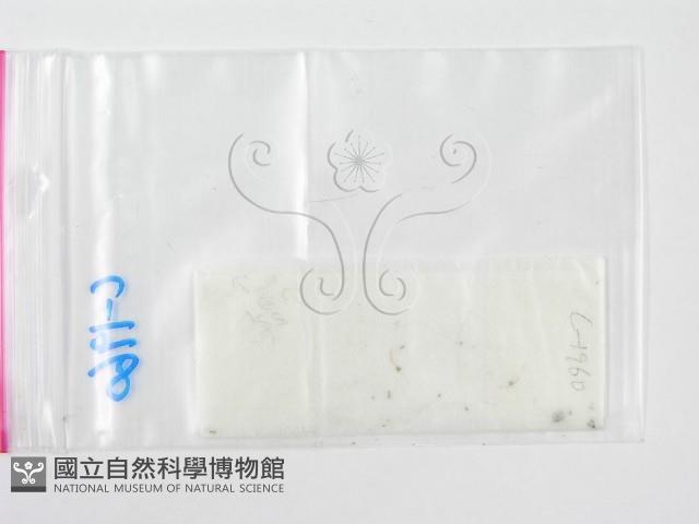 登錄號:F0005592藏品圖，第1張