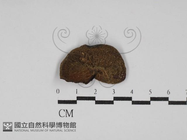 登錄號:F0030192藏品圖，第1張