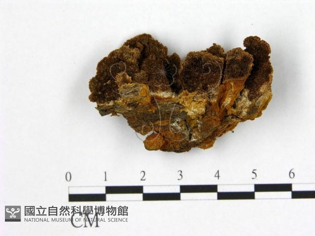 登錄號:F0006192藏品圖，第1張