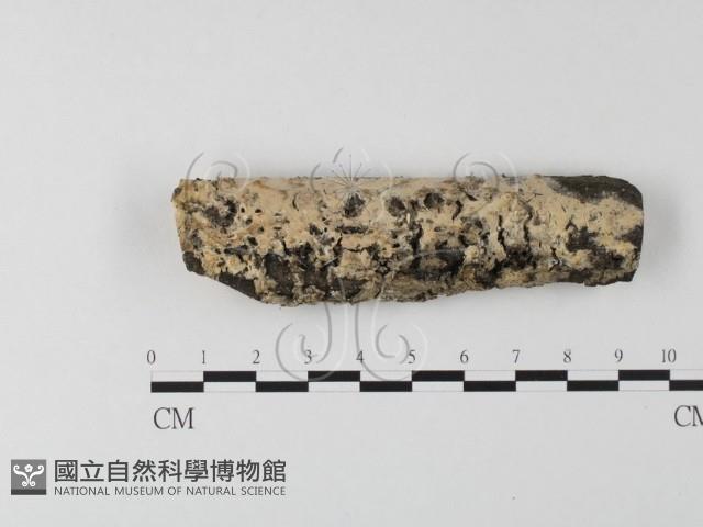 登錄號:F0012192藏品圖，第1張