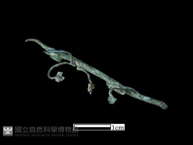 飾品藏品圖，第2張