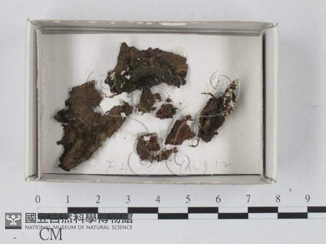 登錄號:F0018092藏品圖，第1張