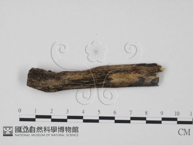 登錄號:F0000092藏品圖，第1張