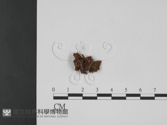 登錄號:F0001092藏品圖，第1張