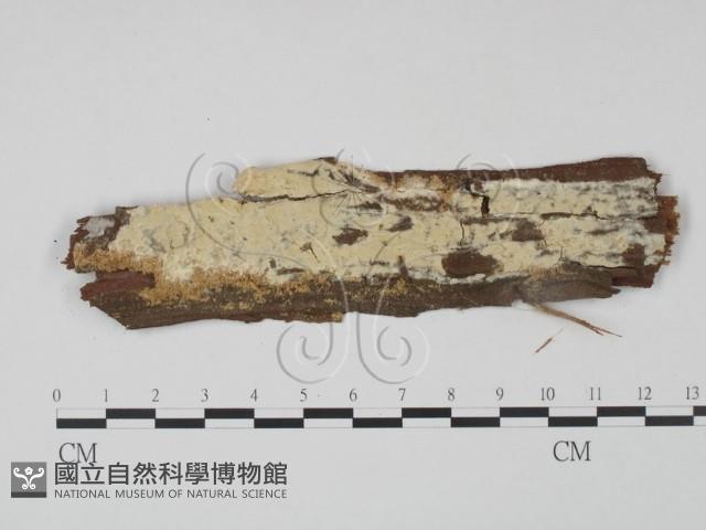 登錄號:F0022092藏品圖，第1張