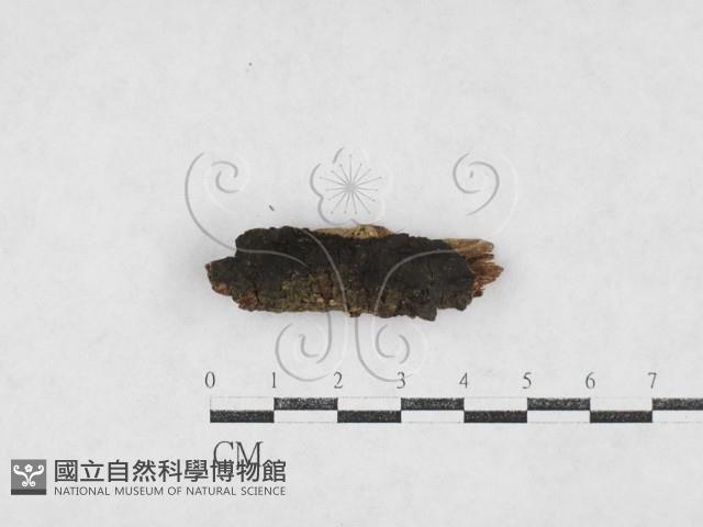 登錄號:F0027092藏品圖，第1張