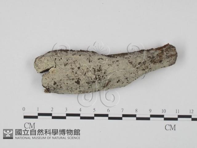 登錄號:F0005092藏品圖，第1張