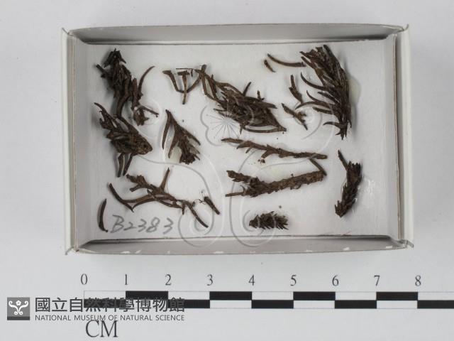 登錄號:F0019092藏品圖，第1張