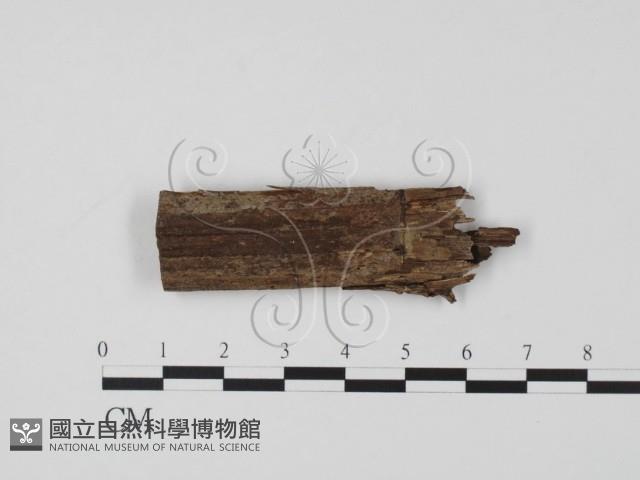 登錄號:F0003092藏品圖，第1張