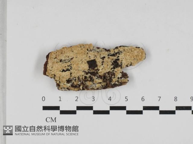 登錄號:F0033092藏品圖，第1張