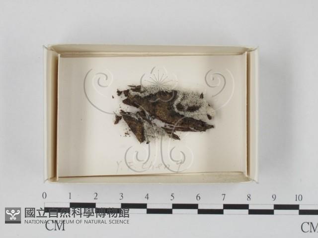 登錄號:F0018392藏品圖，第1張