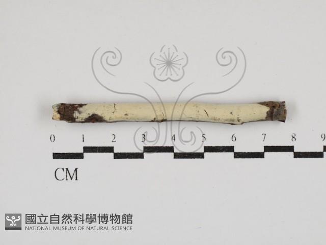 登錄號:F0030392藏品圖，第1張