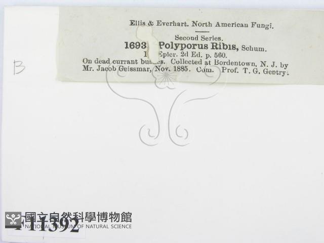 登錄號:F0011392藏品圖，第3張