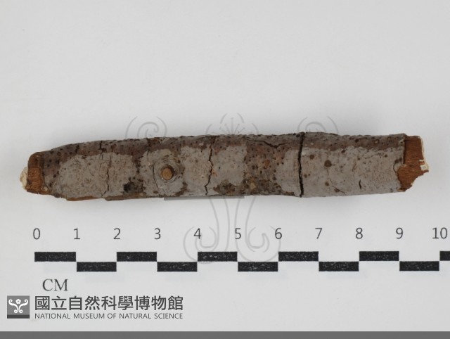 登錄號:F0034392藏品圖，第1張