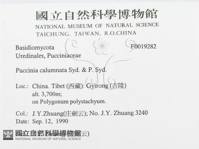 登錄號:F0019282藏品圖，第3張
