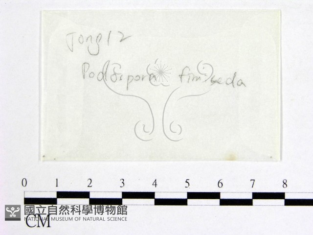 登錄號:F0016882藏品圖，第1張
