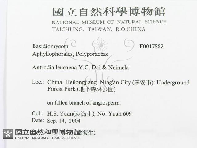 登錄號:F0017882藏品圖，第3張