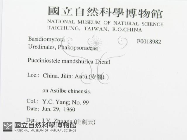 登錄號:F0018982藏品圖，第3張