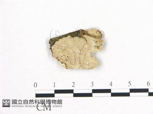 登錄號:F0018682藏品圖，第1張