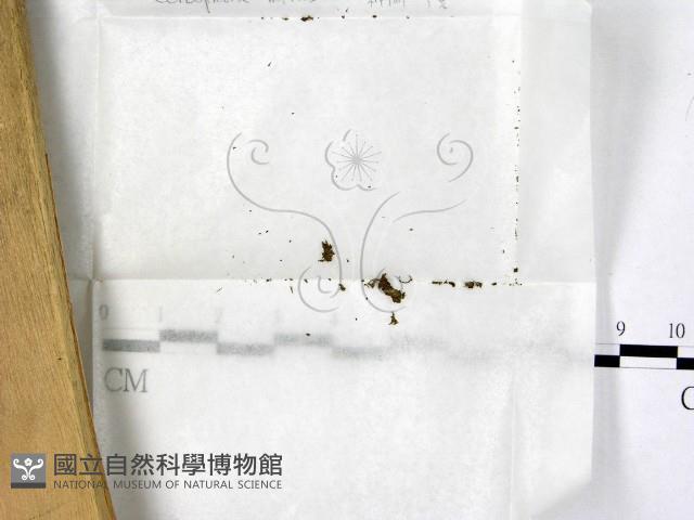 登錄號:F0000682藏品圖，第1張