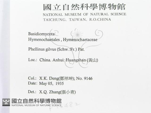 登錄號:F0016482藏品圖，第3張