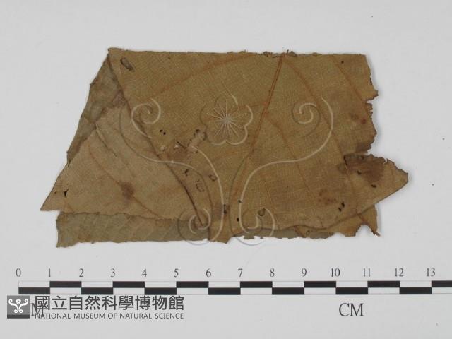 登錄號:F0019482藏品圖，第1張