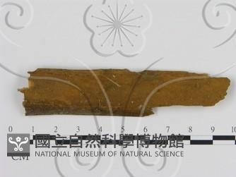 登錄號:F0000782藏品圖，第1張