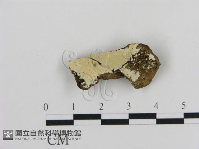 登錄號:F0016782藏品圖，第1張