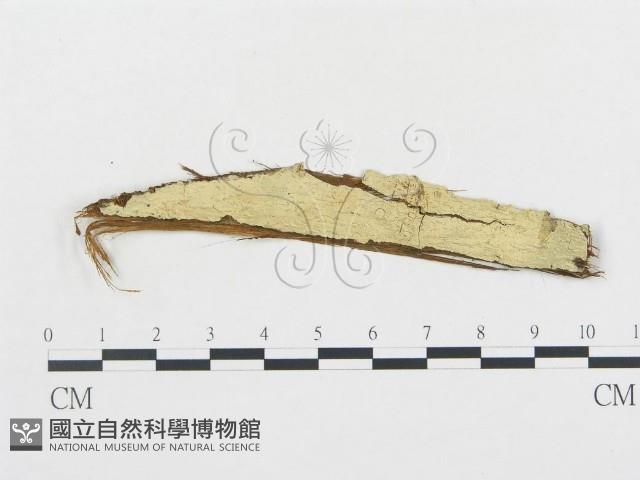 登錄號:F0002782藏品圖，第1張