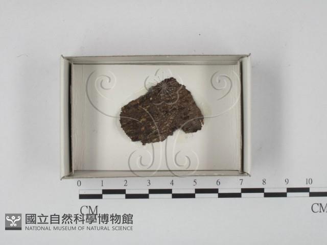 登錄號:F0018582藏品圖，第1張