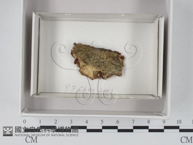 登錄號:F0020582藏品圖，第1張
