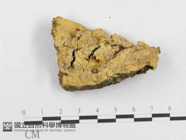 登錄號:F0010582藏品圖，第1張