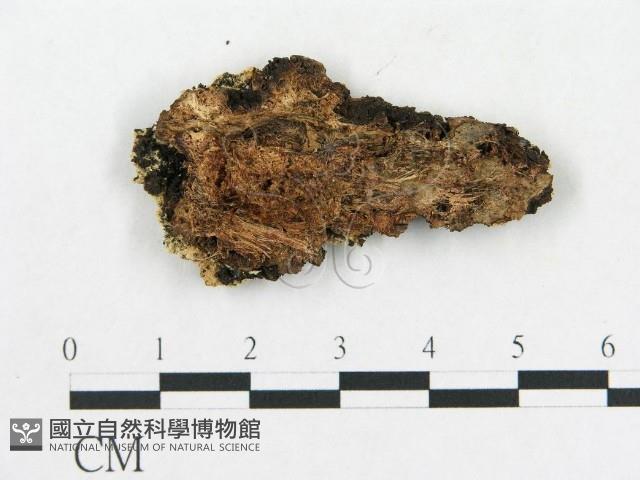 登錄號:F0006582藏品圖，第1張