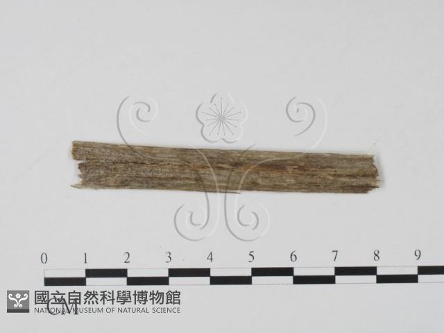 登錄號:F0011582藏品圖，第1張