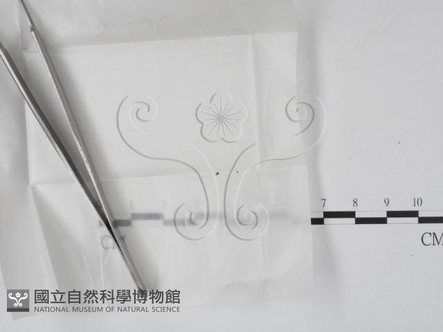 登錄號:F0000182藏品圖，第1張