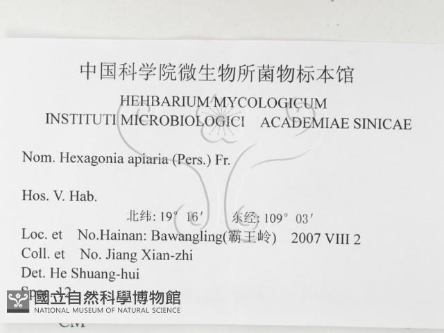 登錄號:F0026182藏品圖，第3張