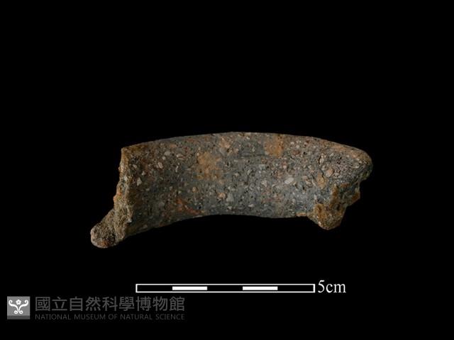 陶罐藏品圖，第1張