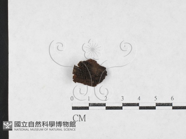 登錄號:F0027082藏品圖，第1張