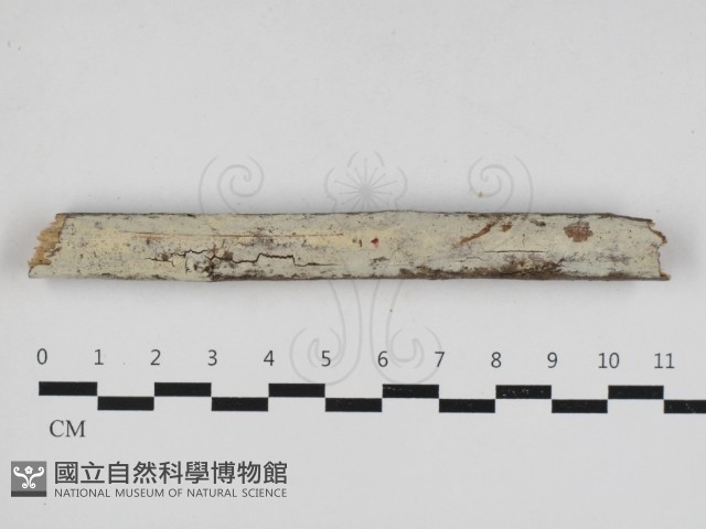 登錄號:F0033082藏品圖，第1張