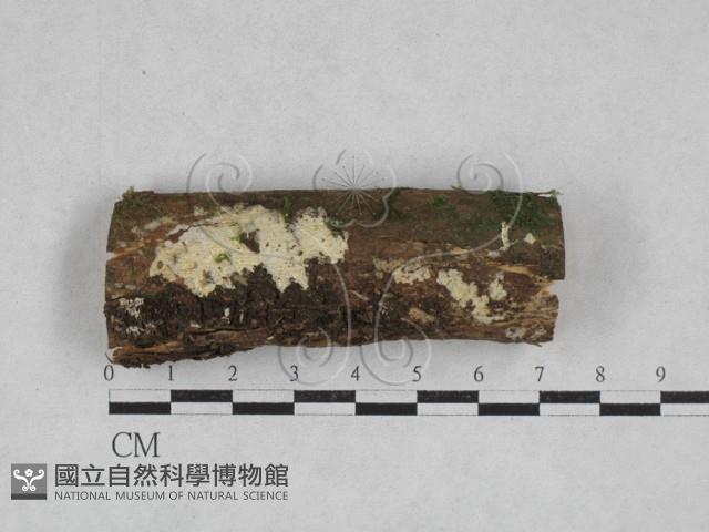 登錄號:F0028382藏品圖，第1張
