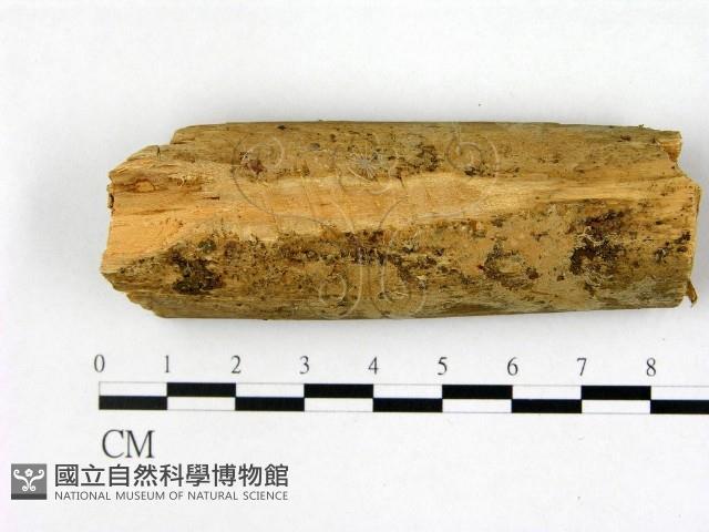 登錄號:F0022382藏品圖，第1張